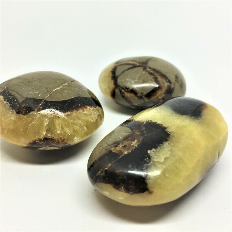 Septarion Palm Stone