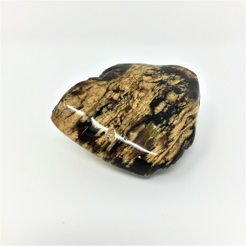 Zebra Amber