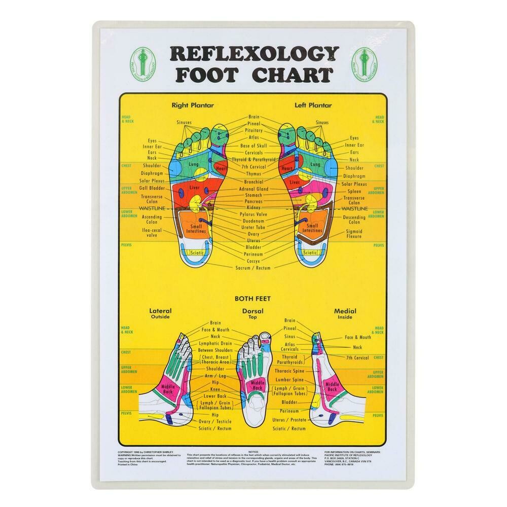 Reflexology Foot Chart