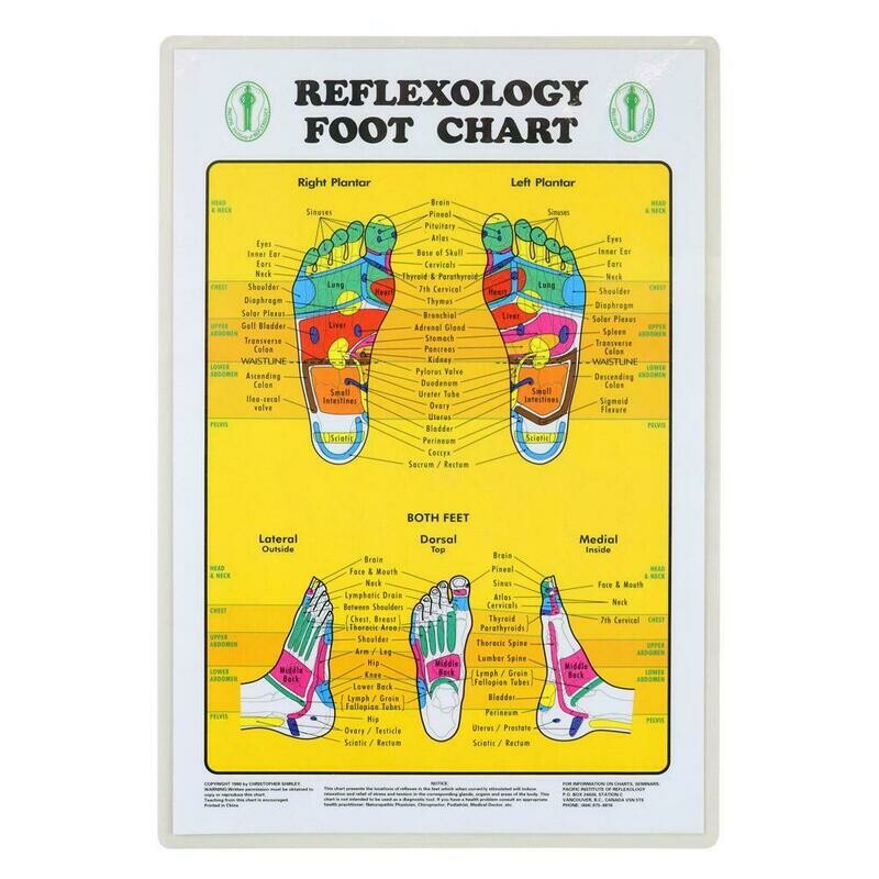Reflexology Foot Chart
