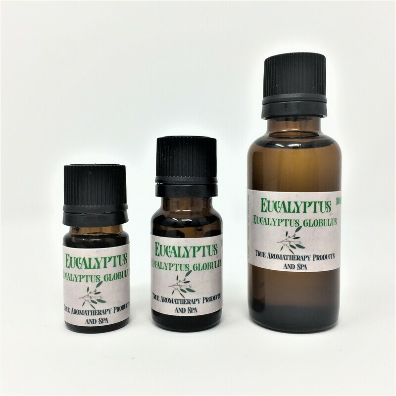 Eucalyptus Globulus