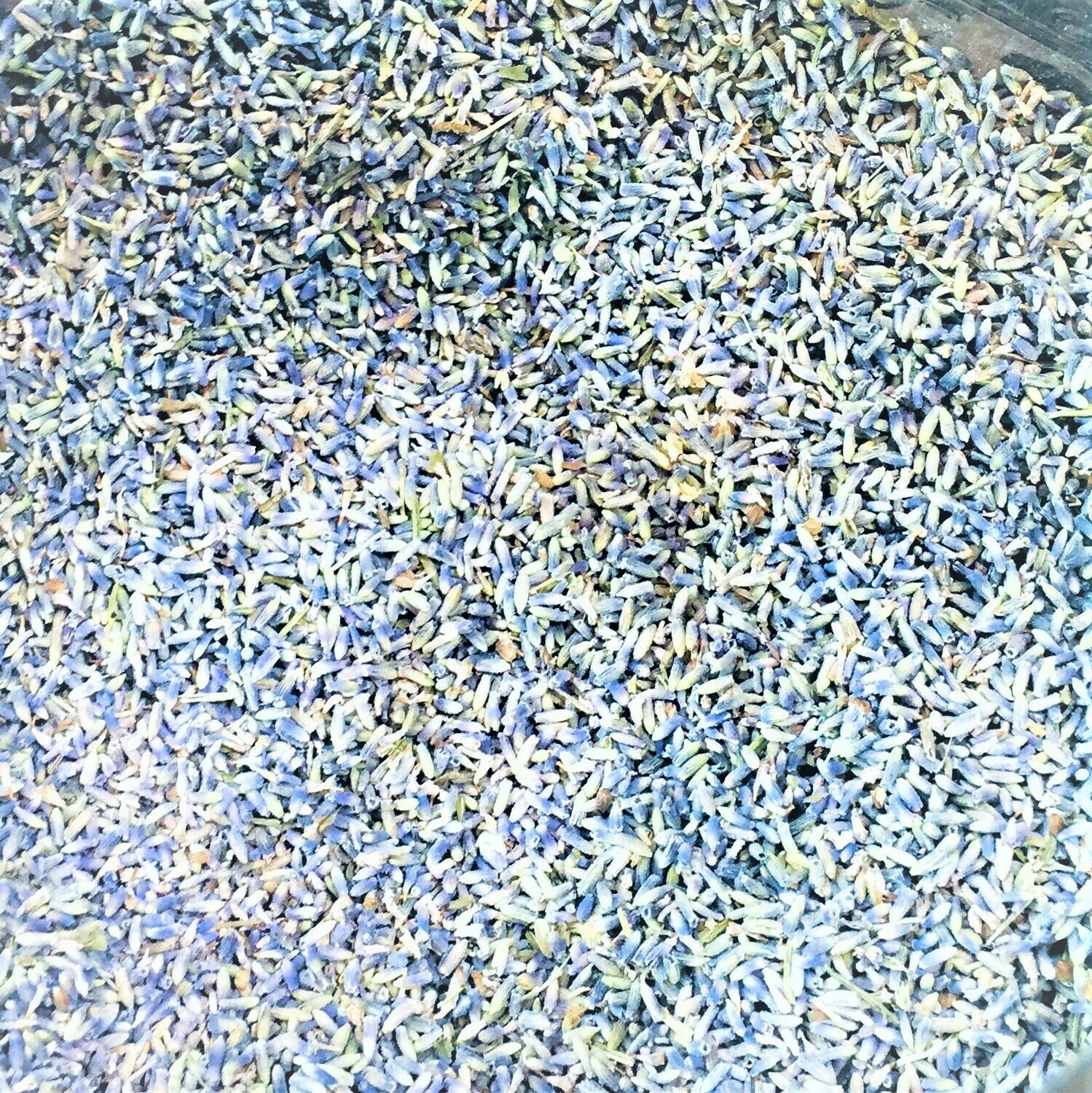 Bulk Organic Lavender Flowers