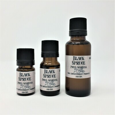 Spruce, Black
