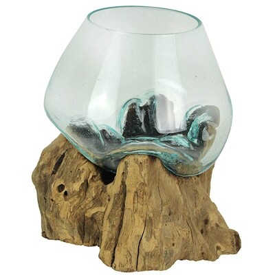 Medium Glass Bowl On Driftwood
