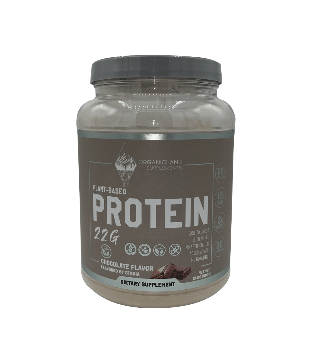 OrganicLand Vegan Protein