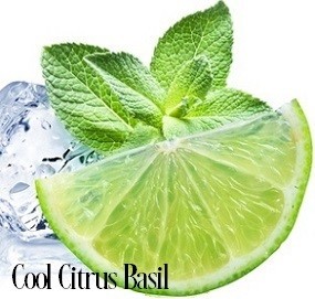 Bath Bon Bons - Cool Citrus Basil
