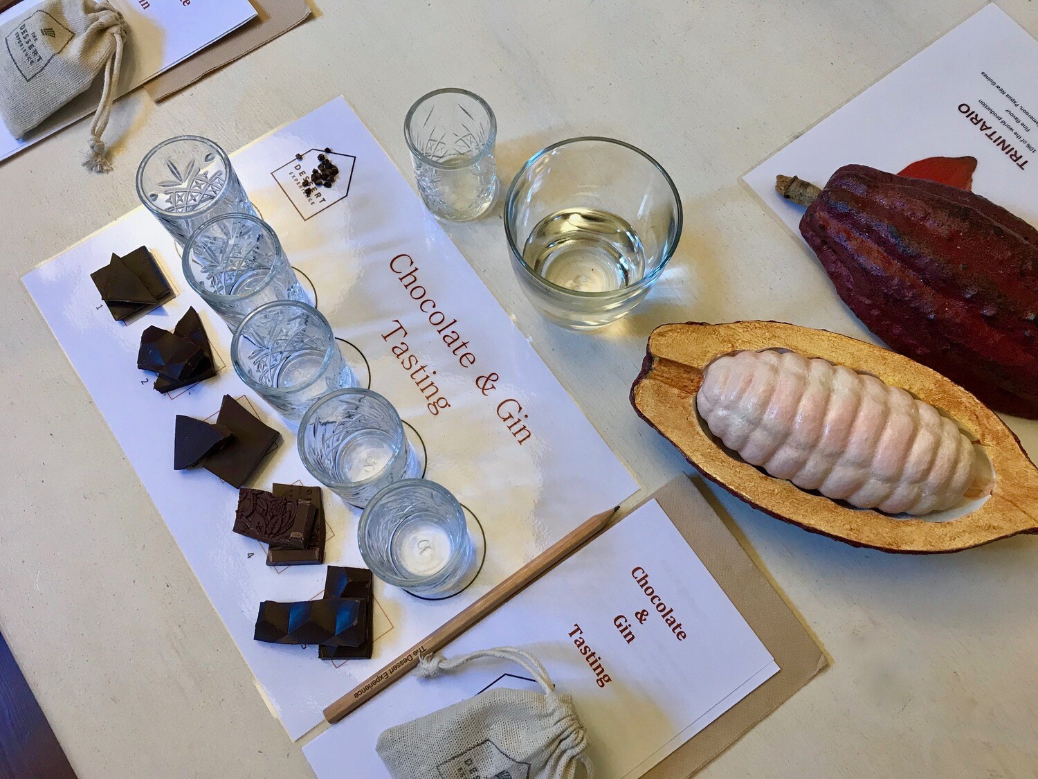 Gin & Chocolate Tasting - 9th December 2020 in Auckland