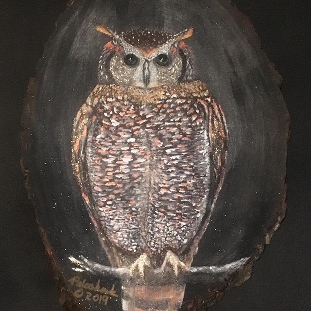 Night Owl