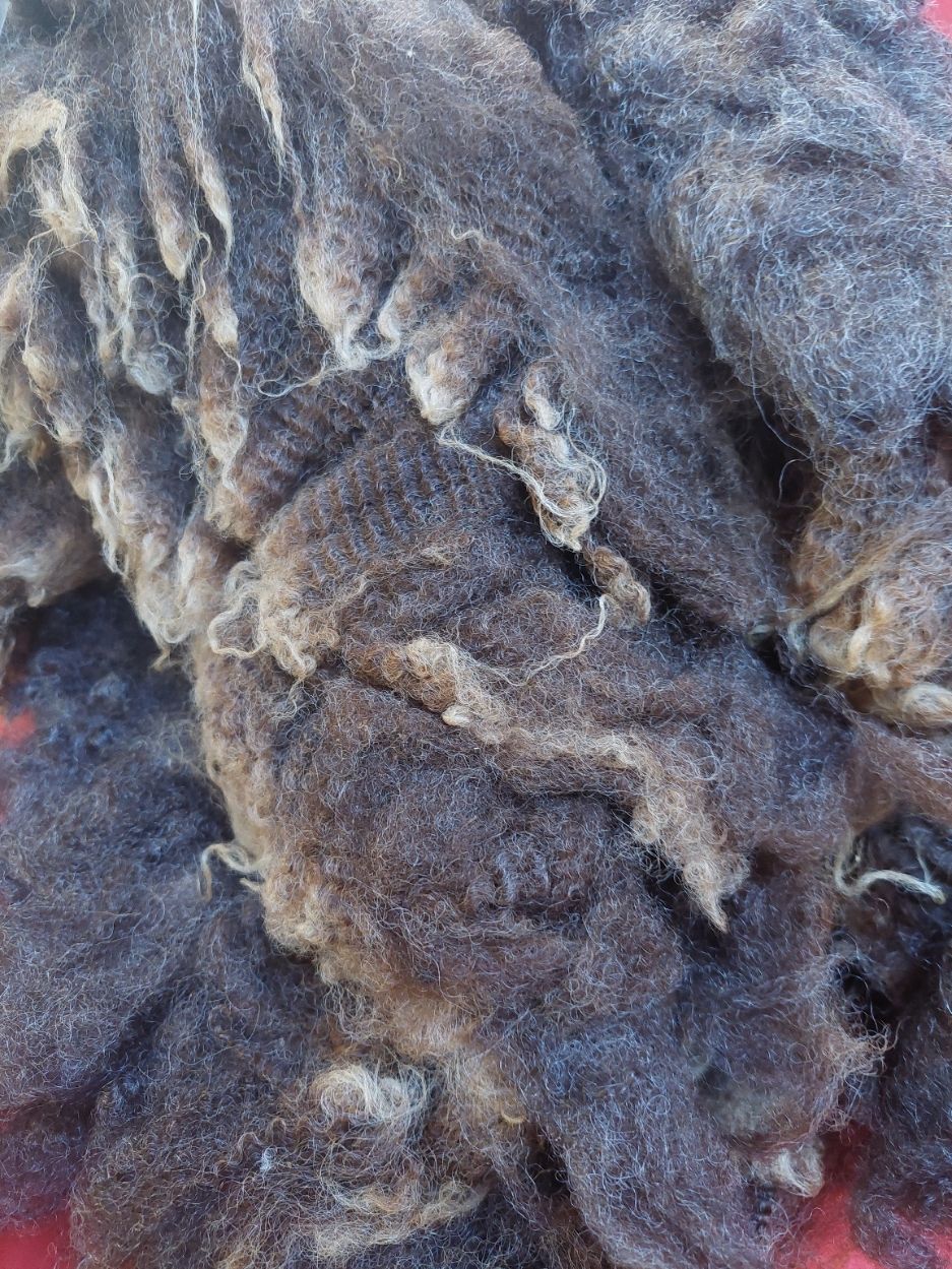 3/4 Finn/Merino. Tag Black 76.