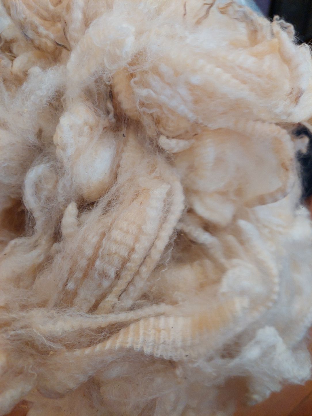 3/4 Finn/Merino. Tag Black 47.