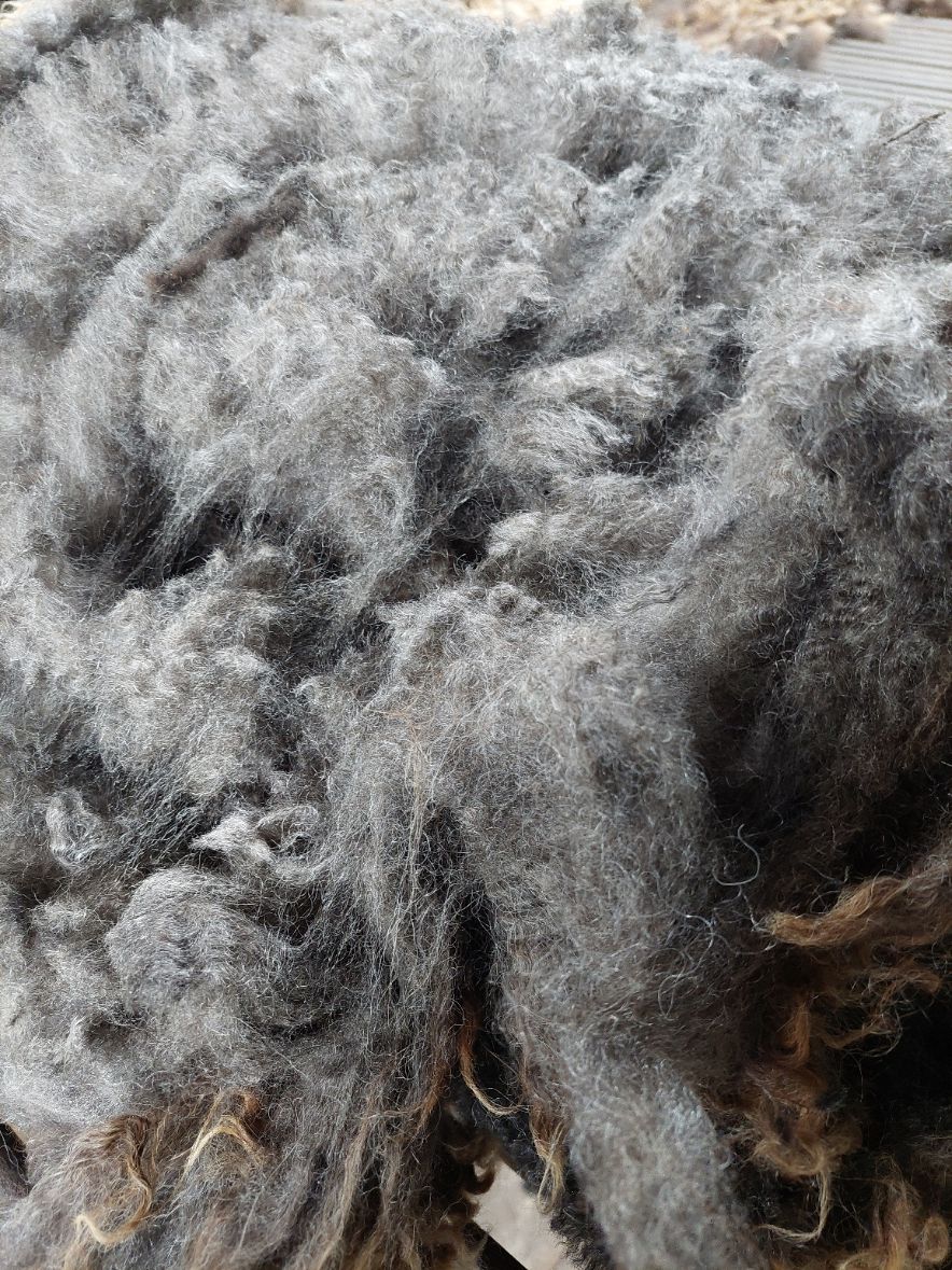 Pure Finn. Tag Red 38.