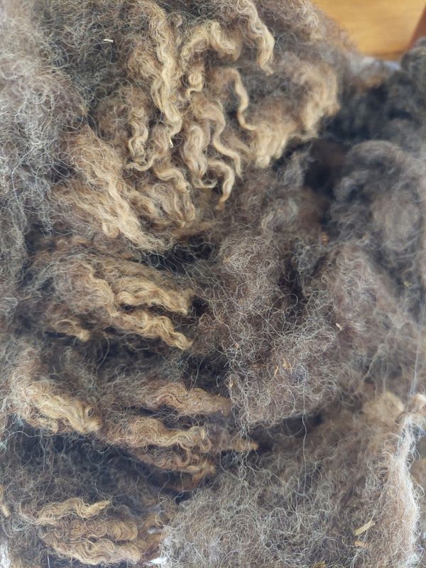 Pure Finn. Tag White 14.