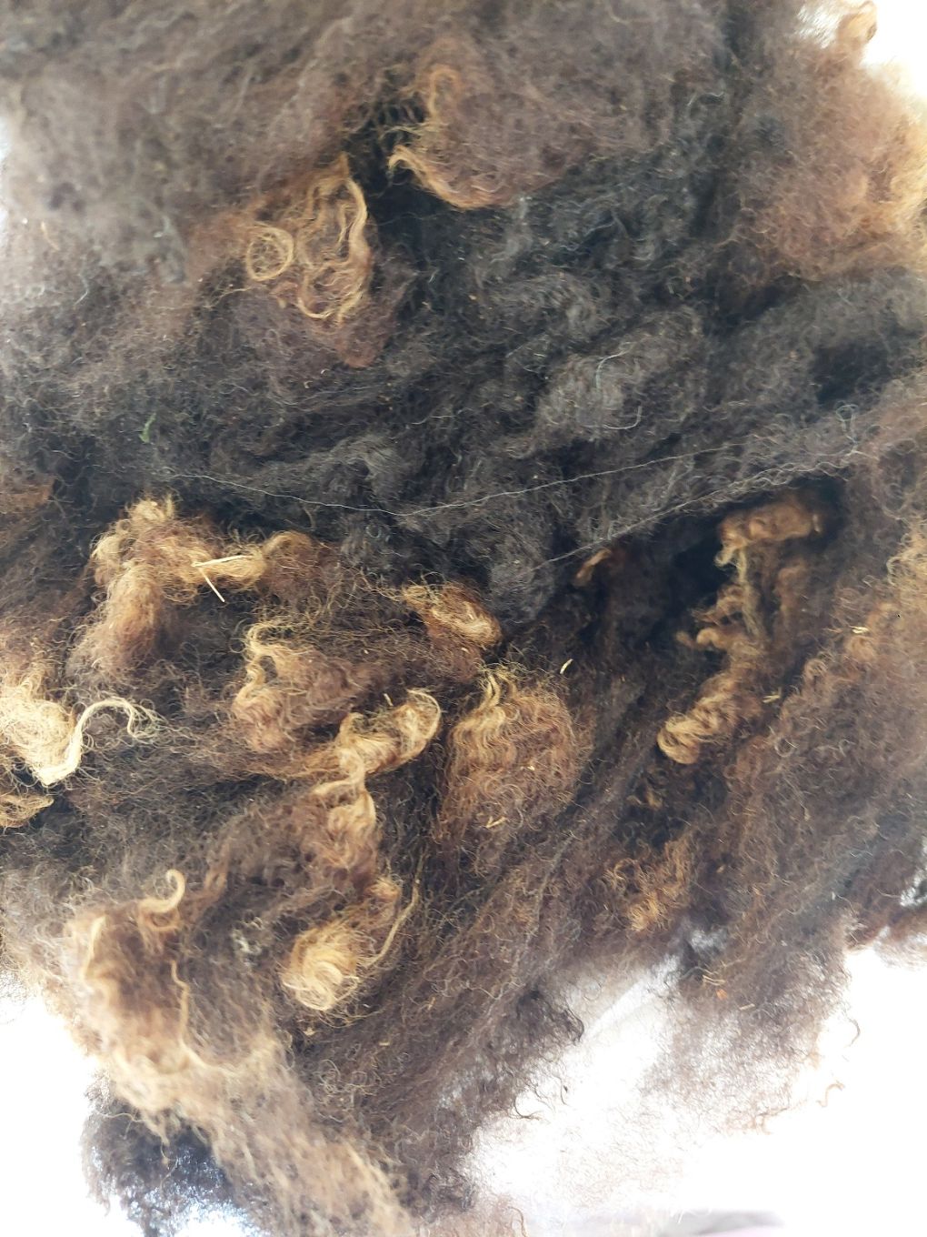 Pure Finn. Untagged.