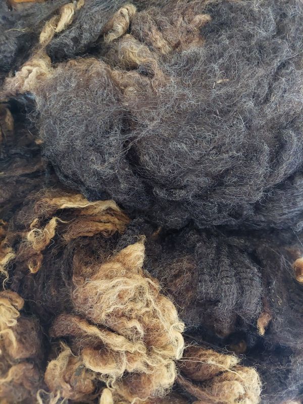 Pure Finn. Tag Yellow 92