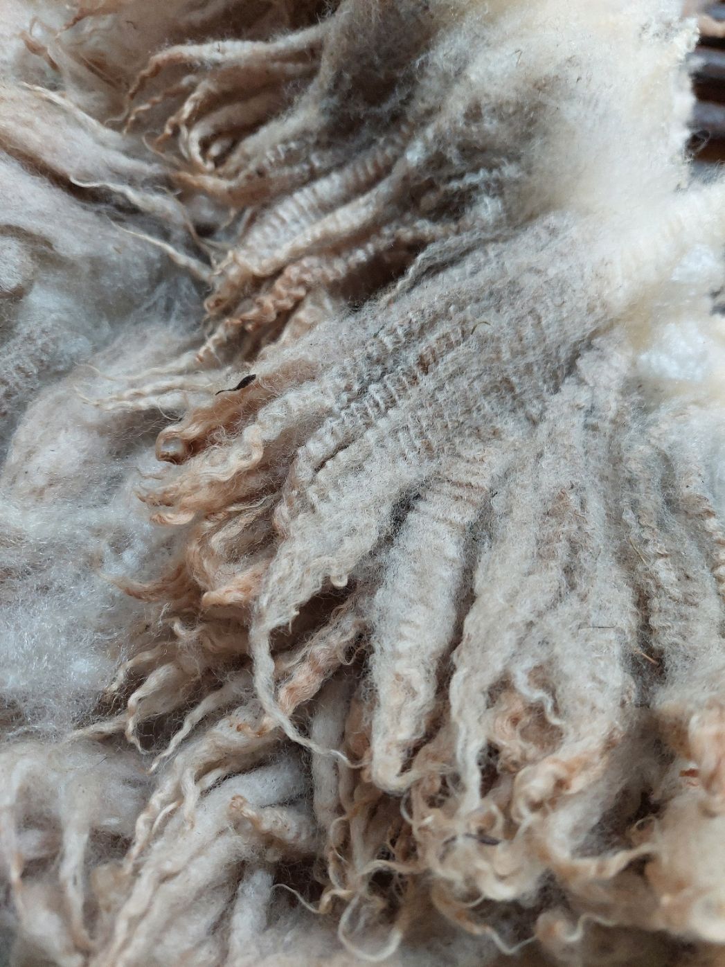 Pure Finn. Untagged.