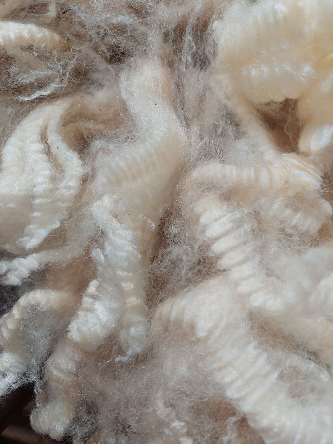 Pure Finn. Tag Blue 130.