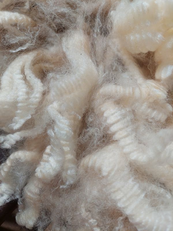 Pure Finn. Tag Blue 130.