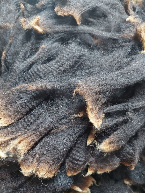 Finn/Corriedale. Tag Red 20.