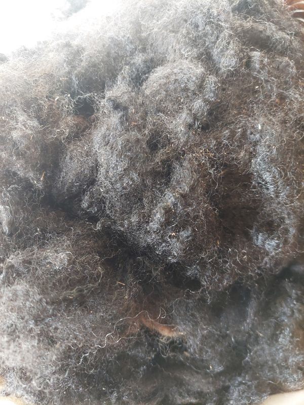 Pure Finn. Tag Yellow 92.