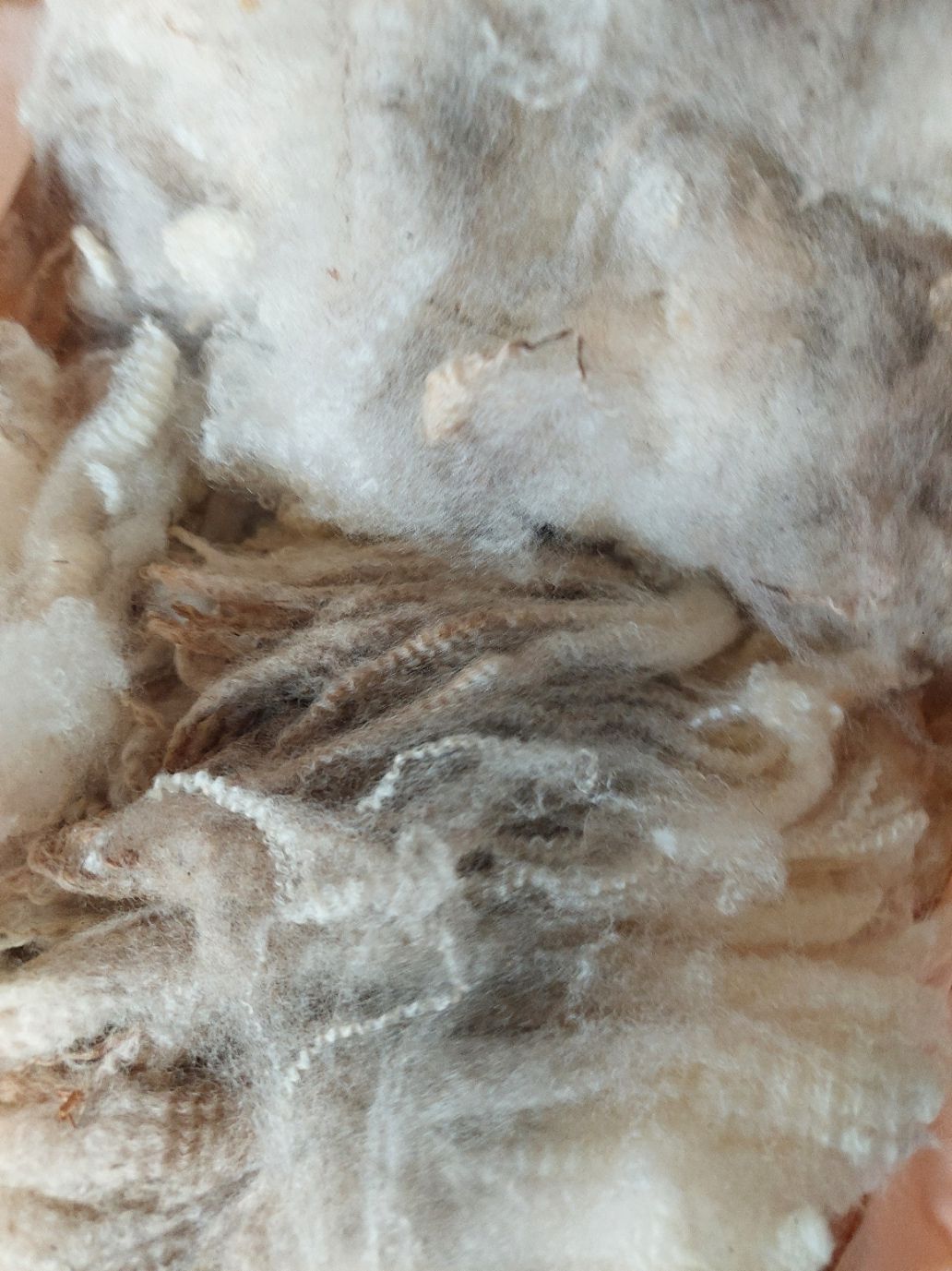 Pure Finn. Tag Blue 119.