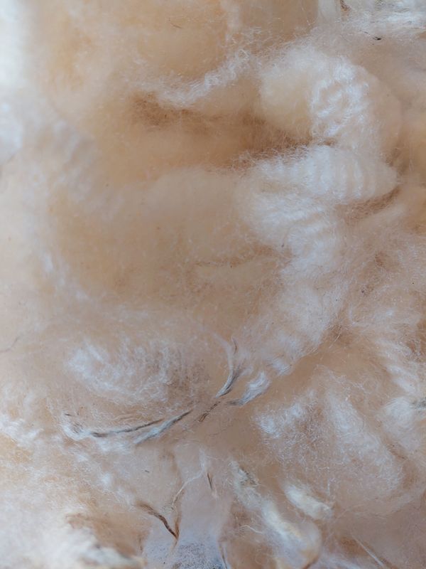 Pure Finn. Tag White 77.