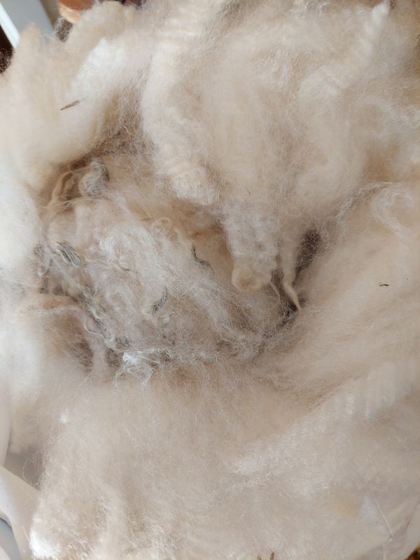 Pure Finn. Tag Yellow 82