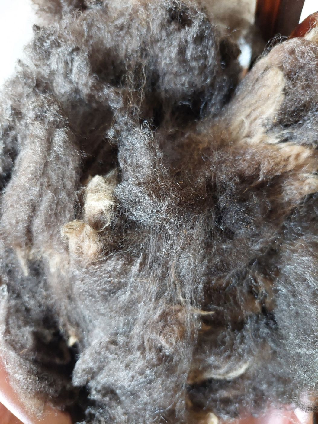 Pure Finn. Tag White 77.