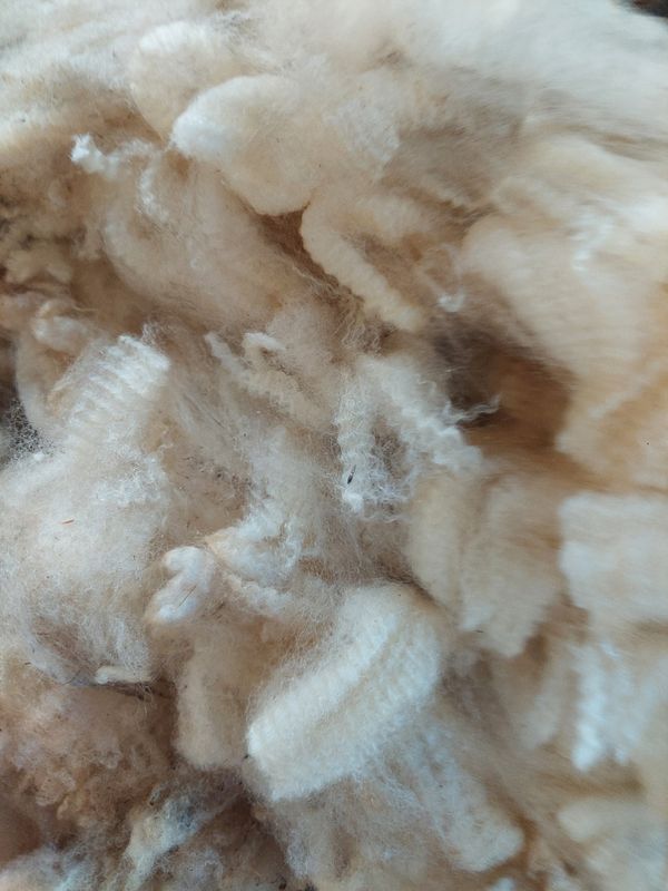 Pure Finn. Untagged,