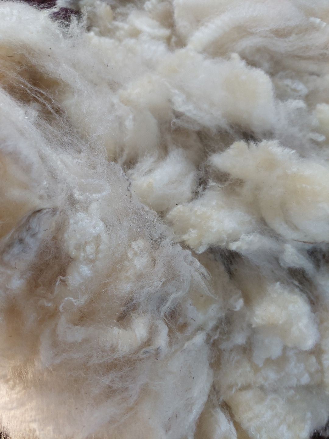 Pure Finn. Tag White 73.