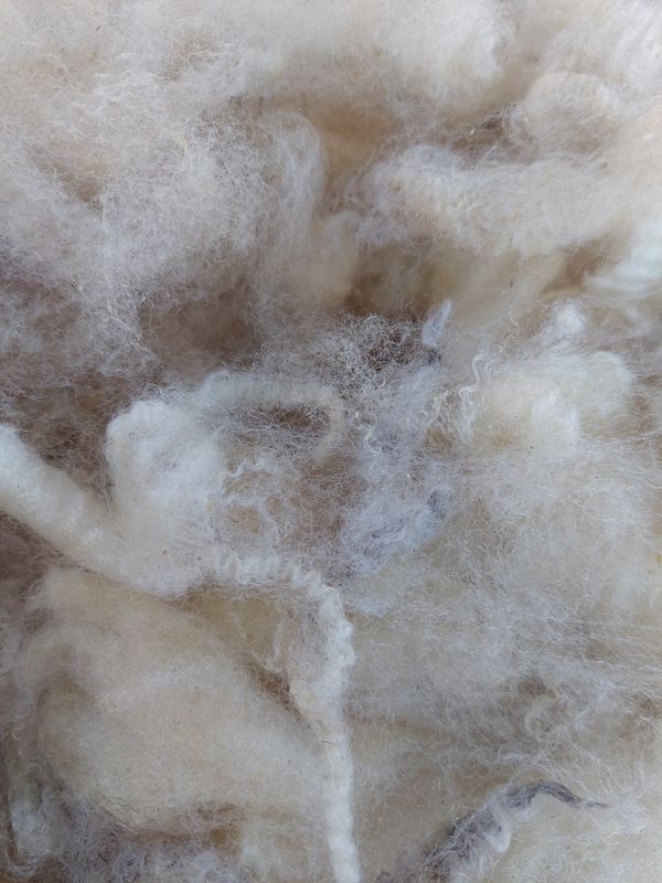 Pure Finn. Tag Yellow 102.