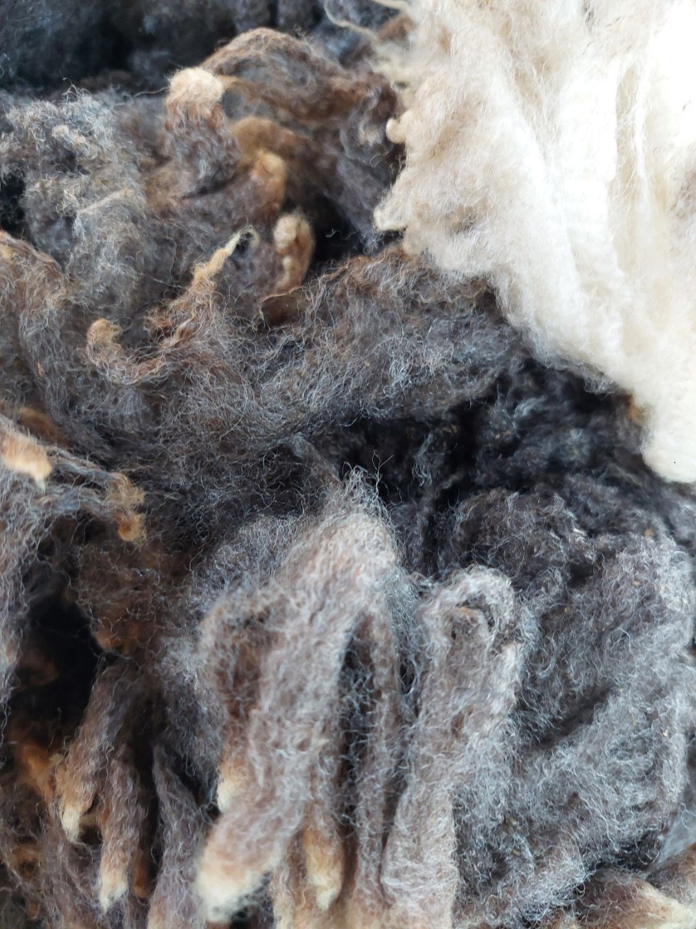 Pure Finn. Tag White 77.