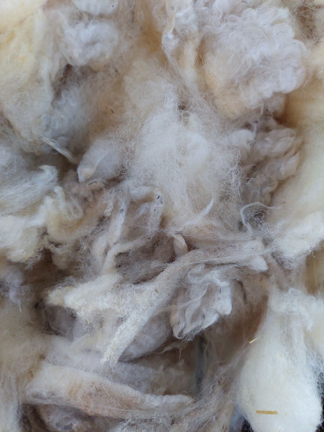 Pure Finn. Tag Yellow 112.