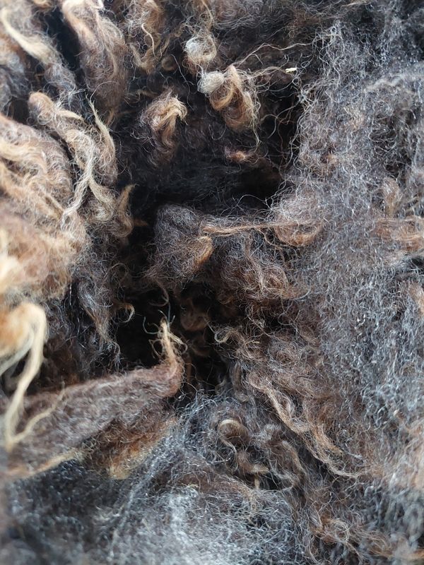 Pure Finn. Tag Blue 137