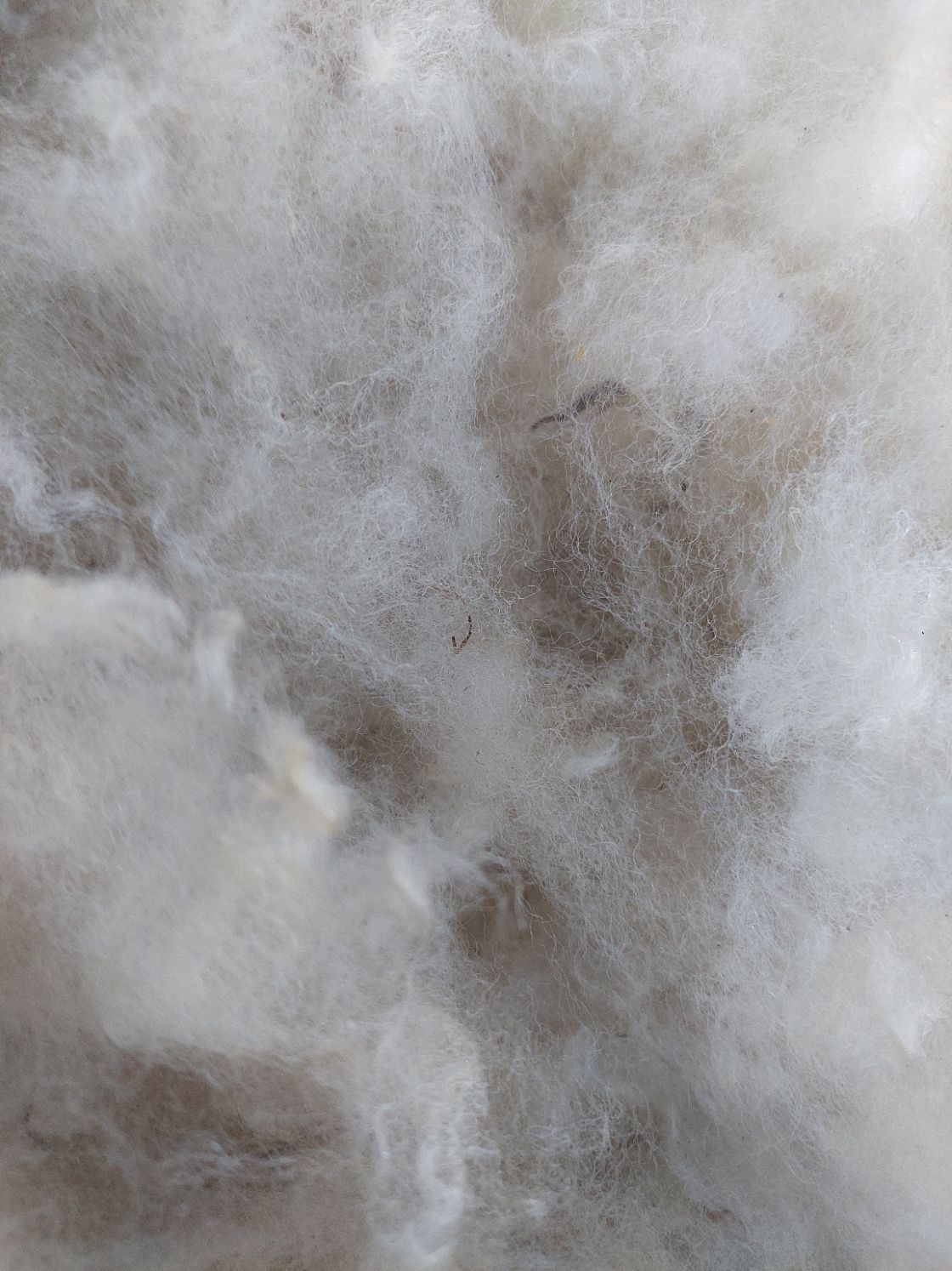 Pure Finn. Tag Yellow 112