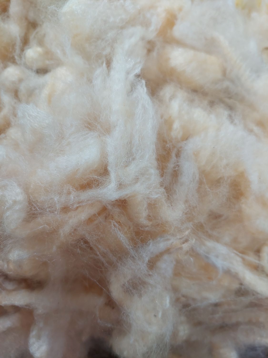 Pure Finn. Tag Green 46.