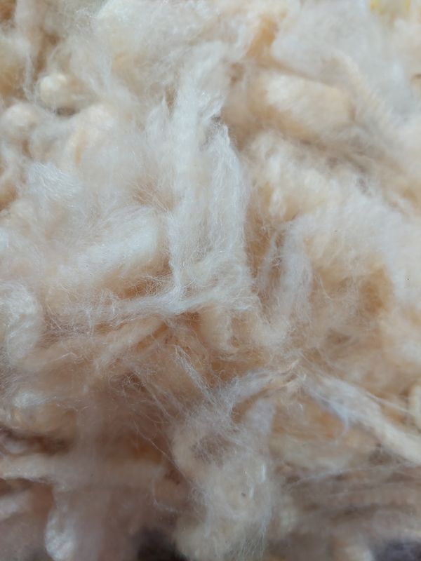 Pure Finn. Tag Green 46.