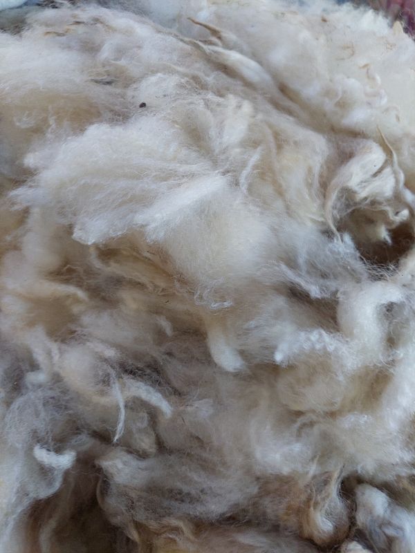 Pure Finn. Tag Red 30.