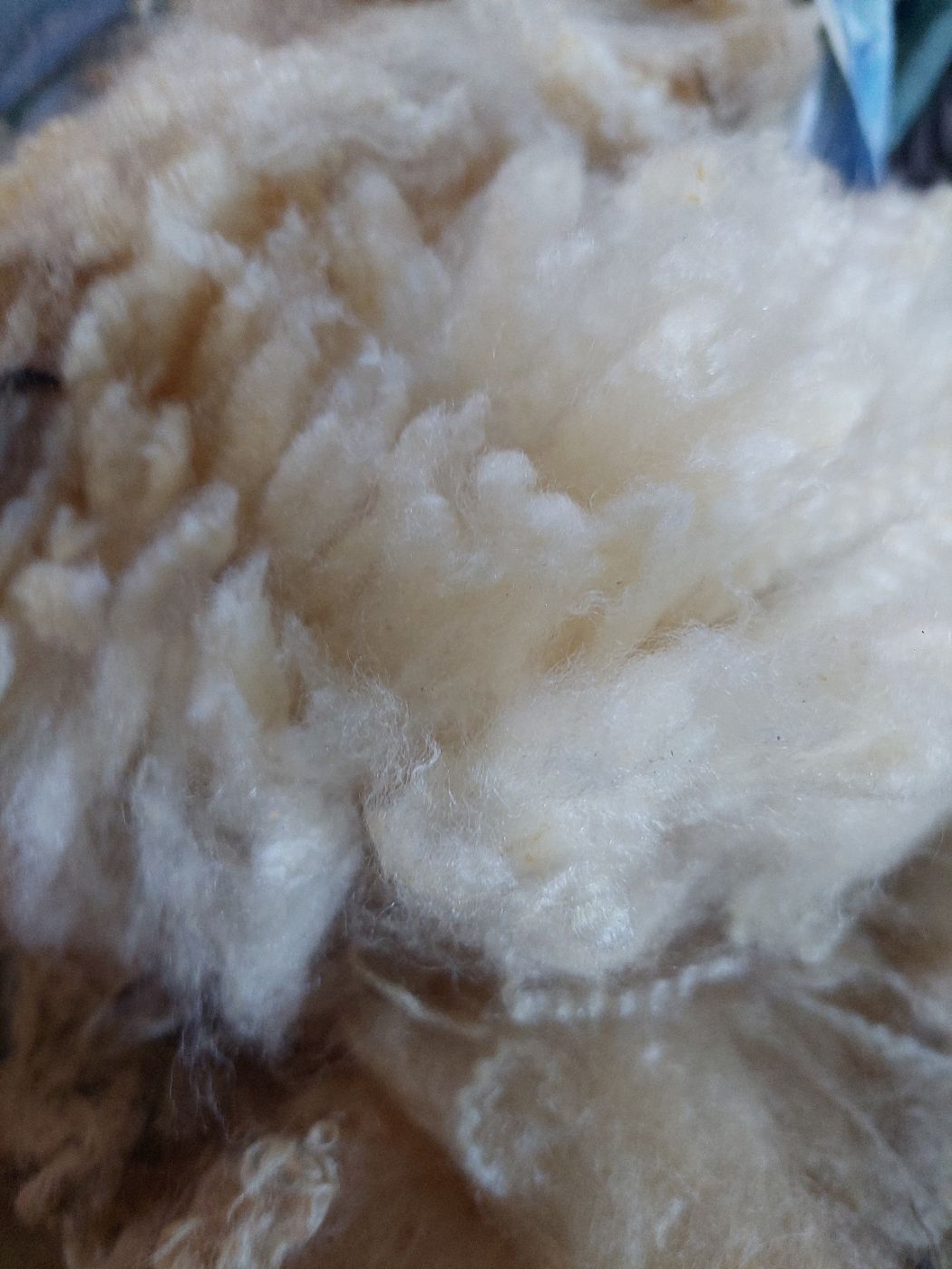 Pure Finn. Tag Blue 108.