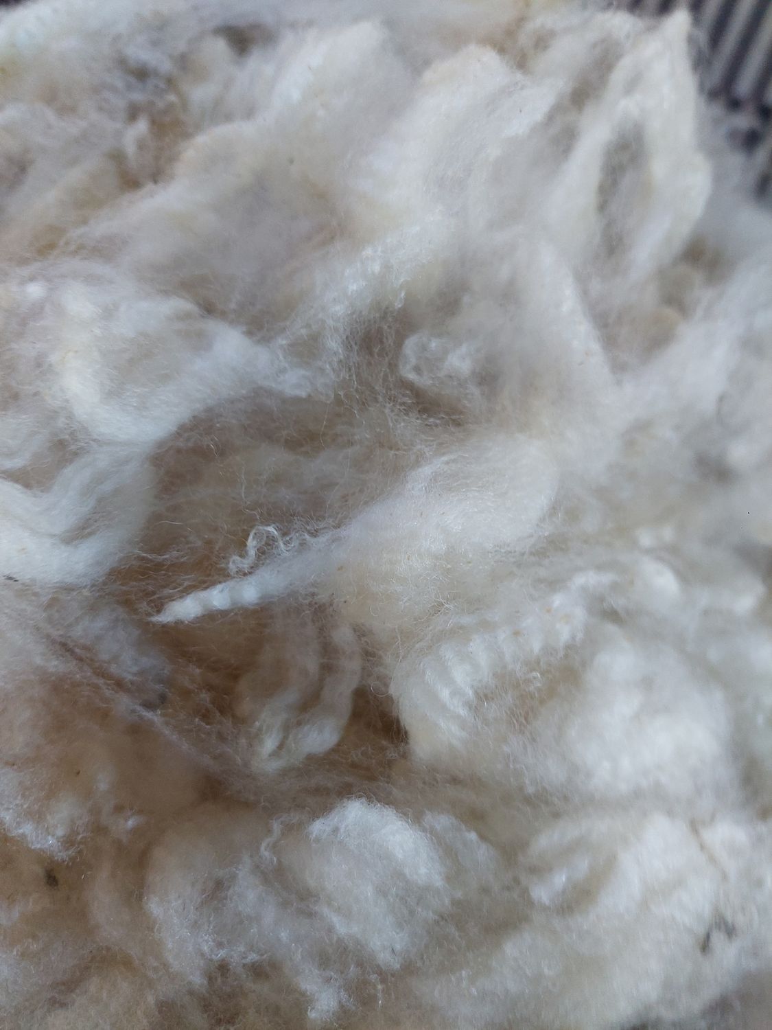 Pure Finn. Tag Red 30.