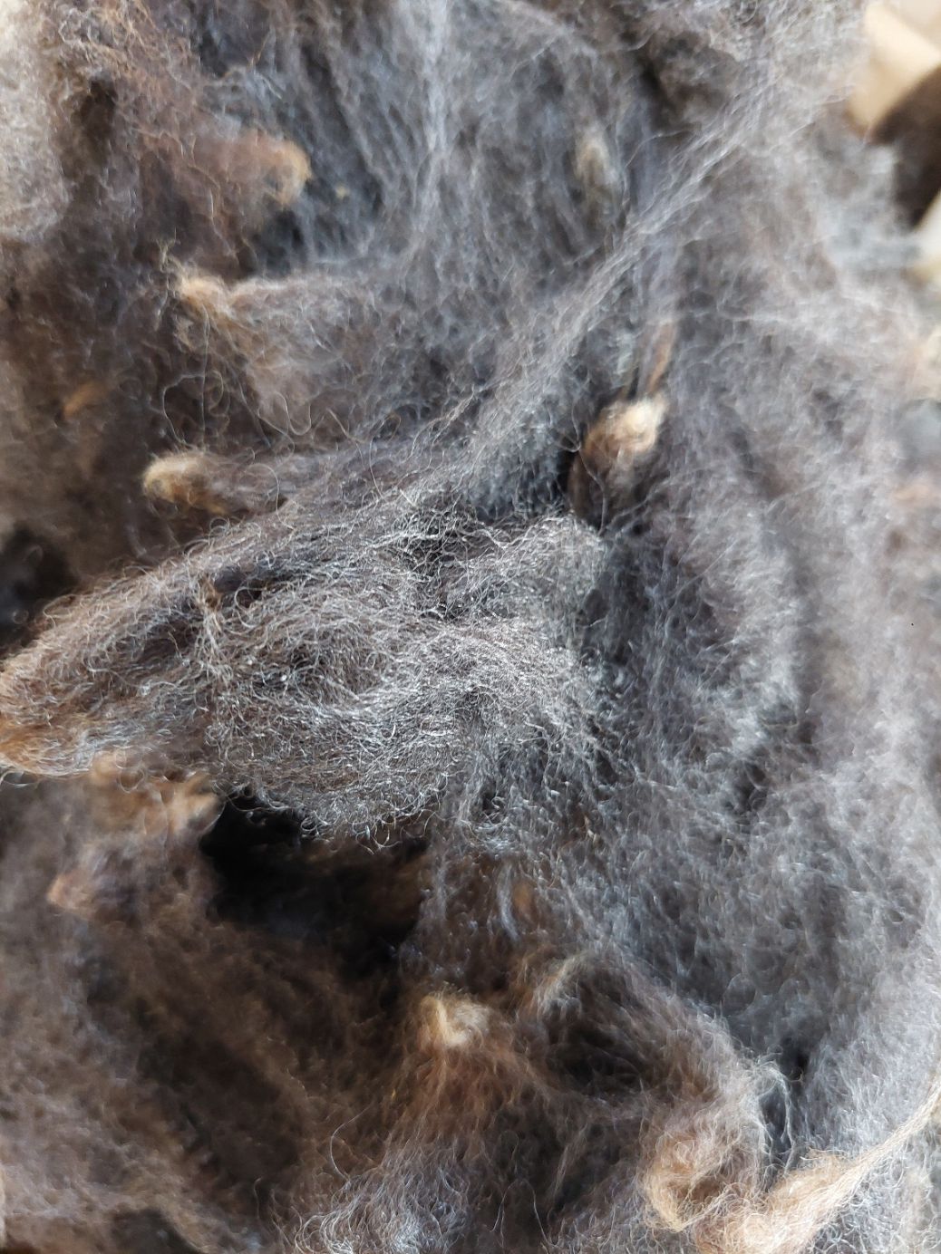 Pure Finn. Tag White 21.