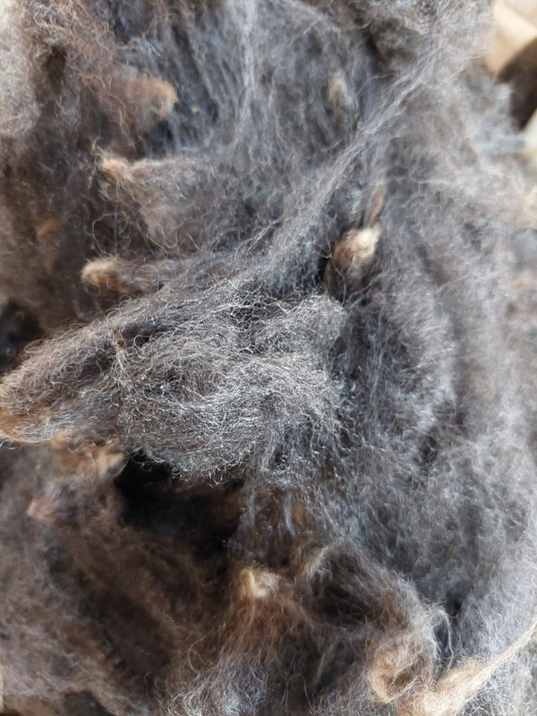 Pure Finn. Tag White 21.