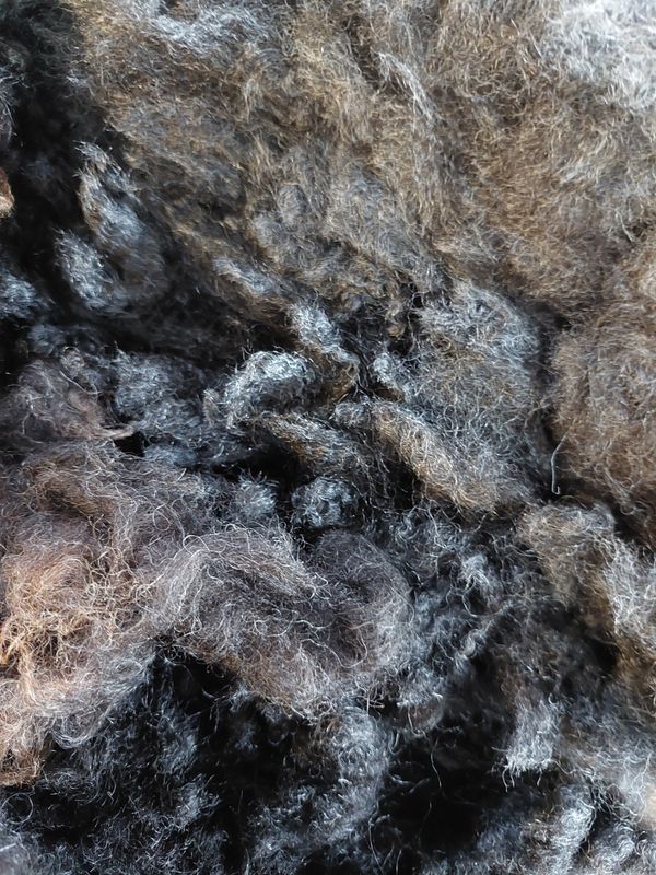 Pure Finn. Tag Yellow 93.