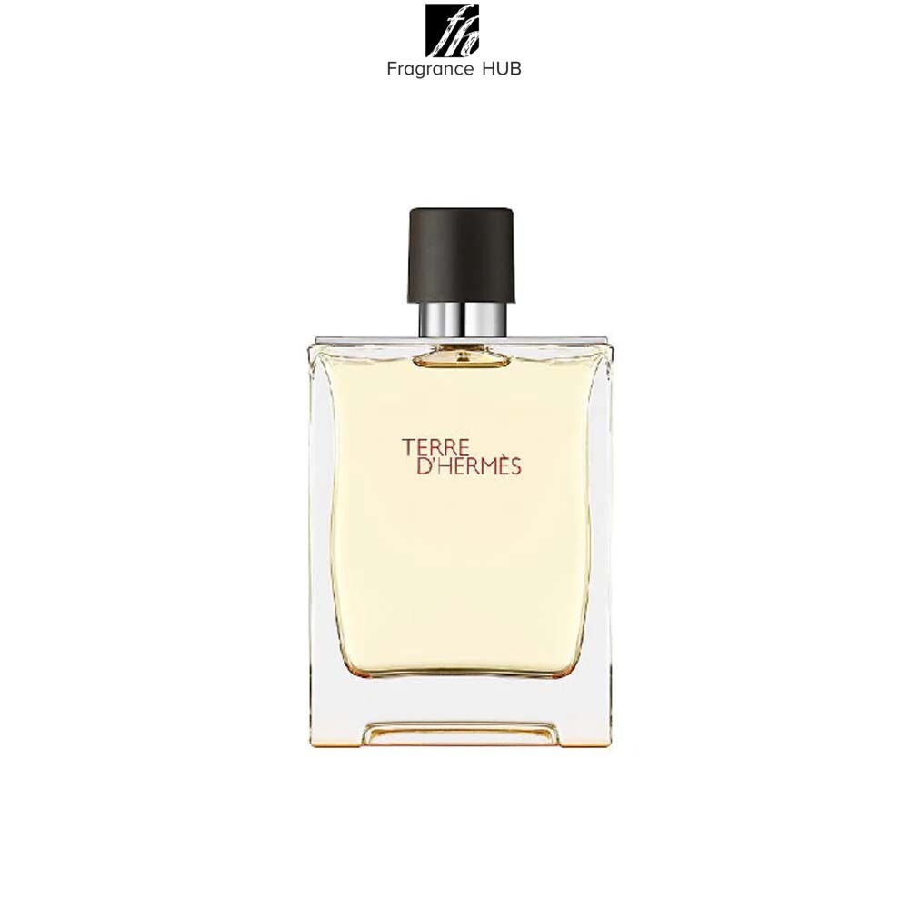 Hermes Terre d&#39;HERMES EDT Men 100ml