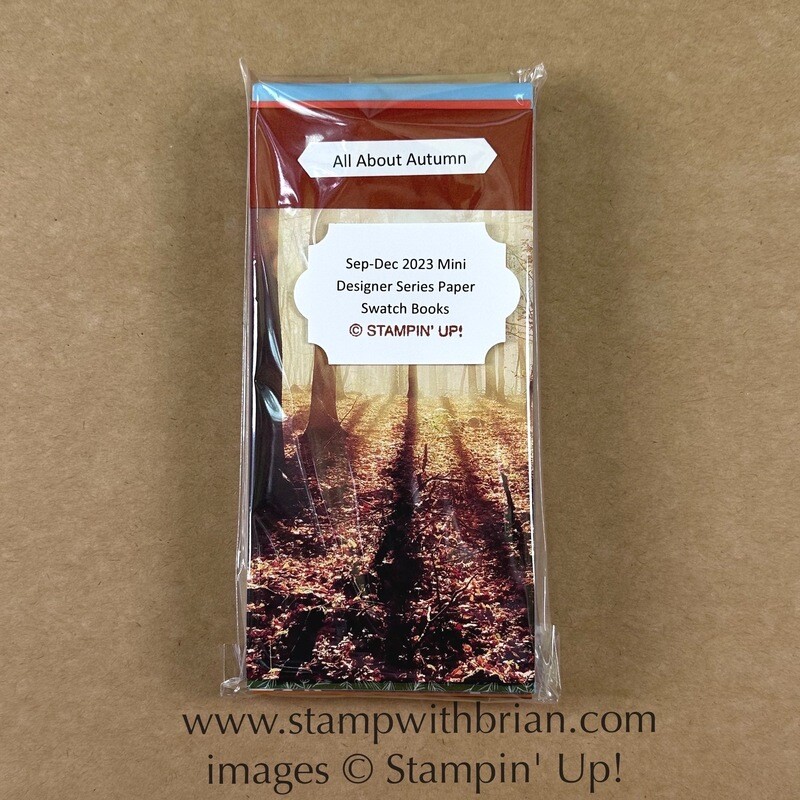 Designer Series Paper Swatch Books - 2023 Holiday Mini Catalog