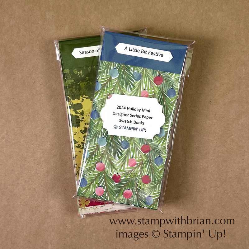 Designer Series Paper Swatch Books - 2024 Holiday Mini Catalog