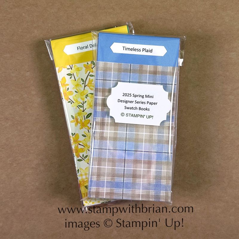 Designer Series Paper Swatch Books - 2025 Spring Mini Catalog