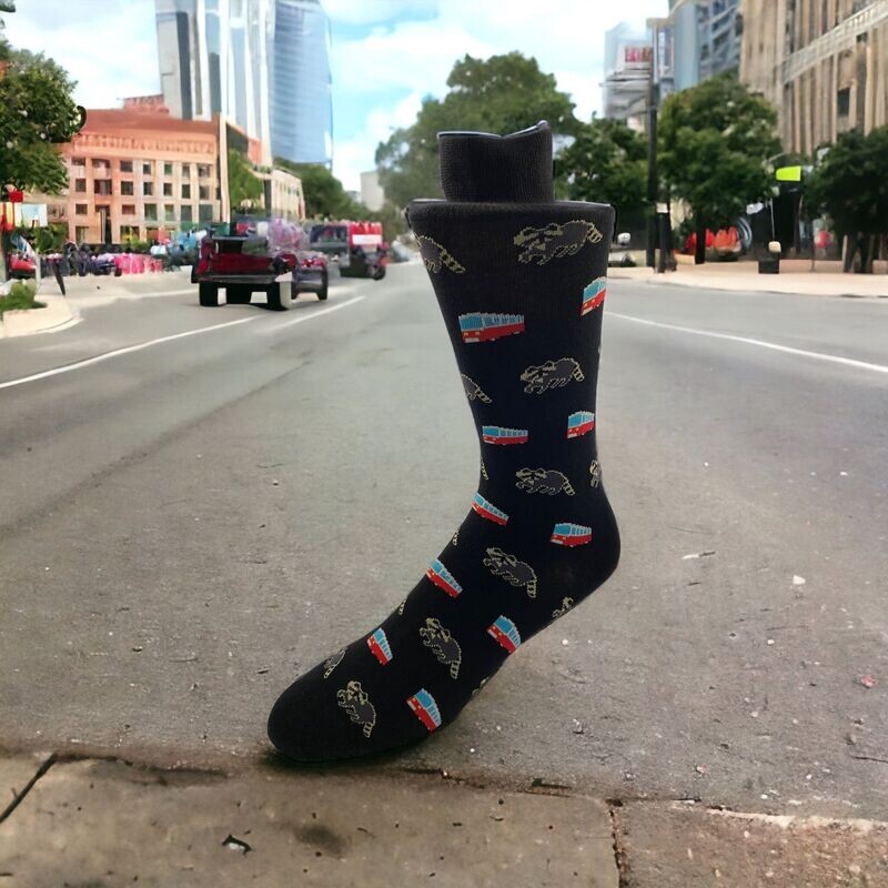 The Raccoon and Streetcar Sock