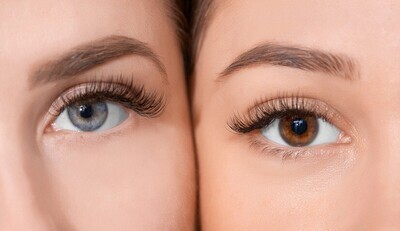 LES SOURCILS