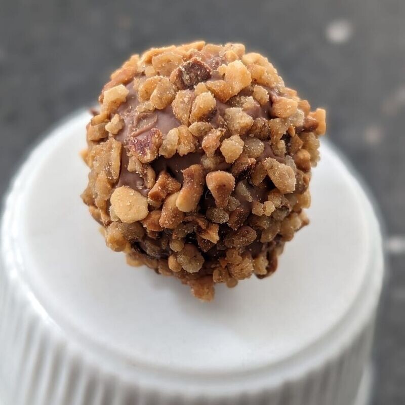 Chocolate Truffle with Hazelnut Bresilienne