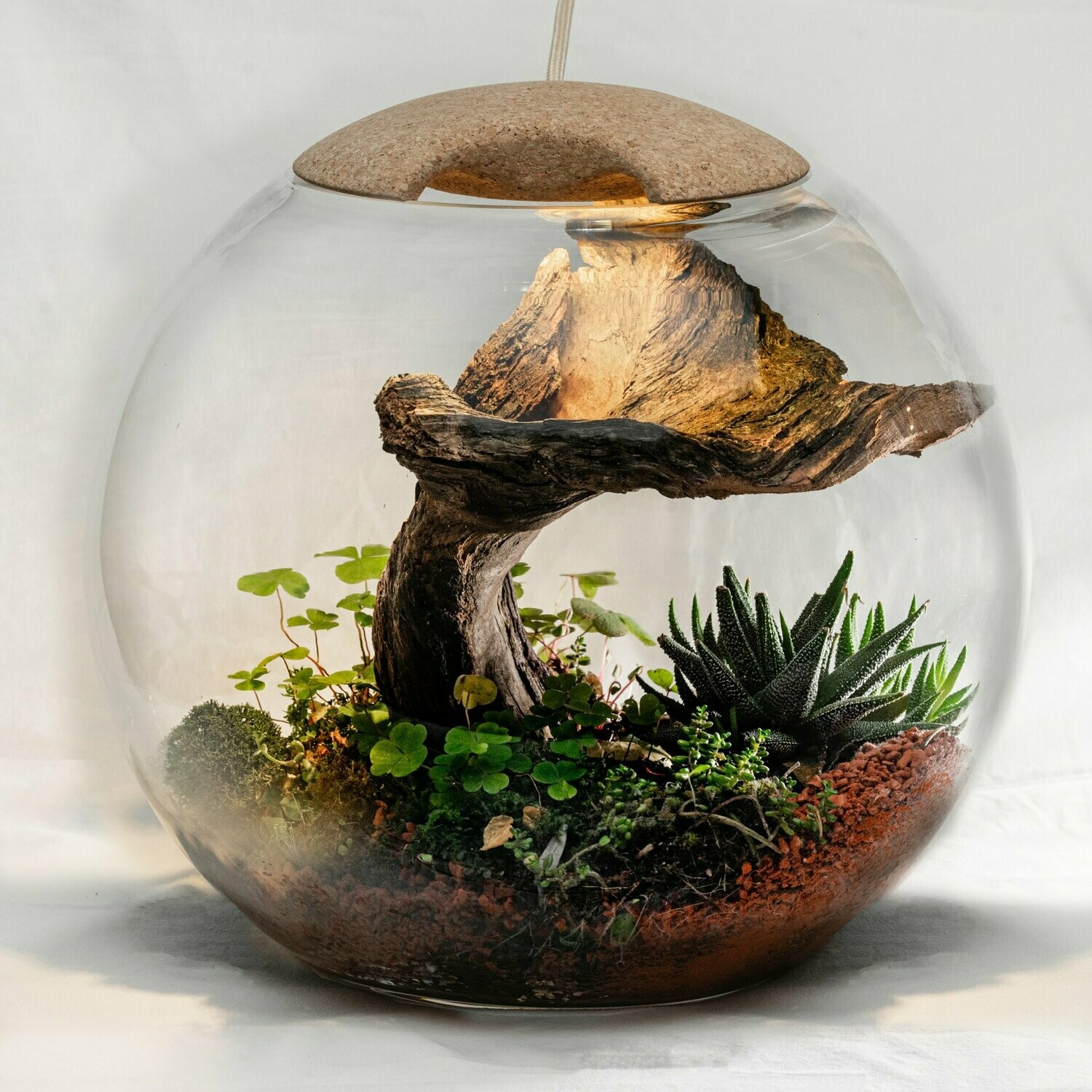 Gaia Terra 